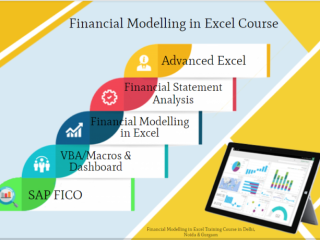 Financial Modeling Training Course in Delhi, 110075. Best Online Live Financial Analyst Course in Chandigarh by IIT Faculty , [ 100% Job in MNC]