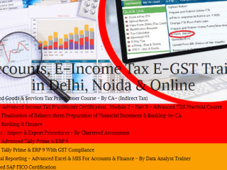 The Future of Accounting Careers: Job Prospects & Skills Needed in 2025, 100% Job, Accounting Course in Delhi