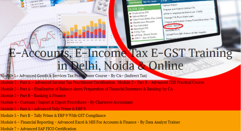is-an-e-accounting-course-worth-it-in-2025-job-market-insights-100-job-best-accounting-course-in-delhi-big-0