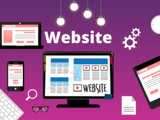 Business Website Only 3999/-