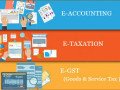 job-oriented-accounting-course-in-delhi-110035-after-12th-and-graduation-by-sla-learn-new-skills-of-gst-sap-fico-for-100-job-small-0