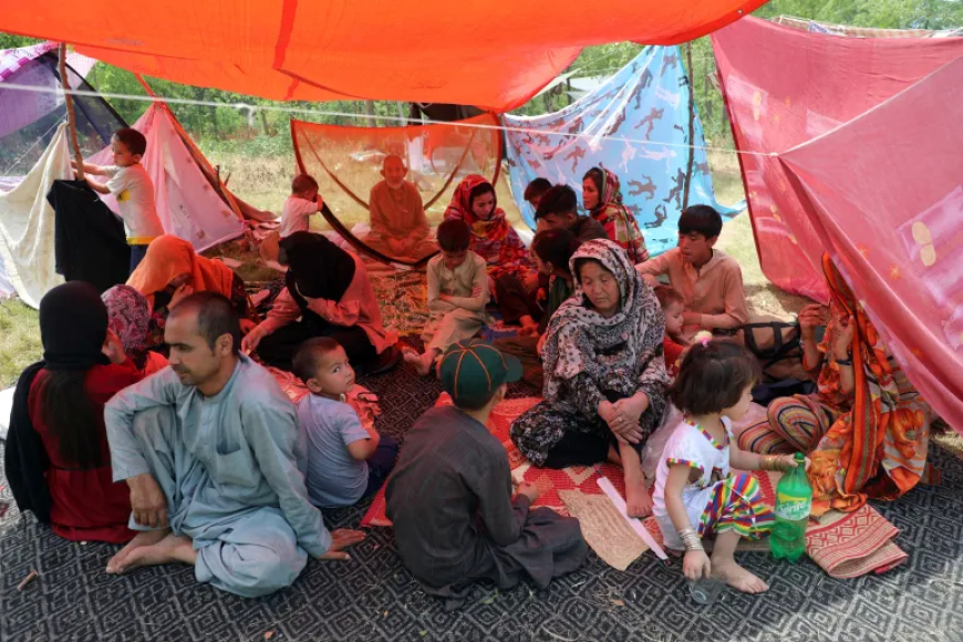 पाकिस्तान को अफगान शरणार्थियों को सामूहिक रूप से दंडित नहीं करना चाहिए