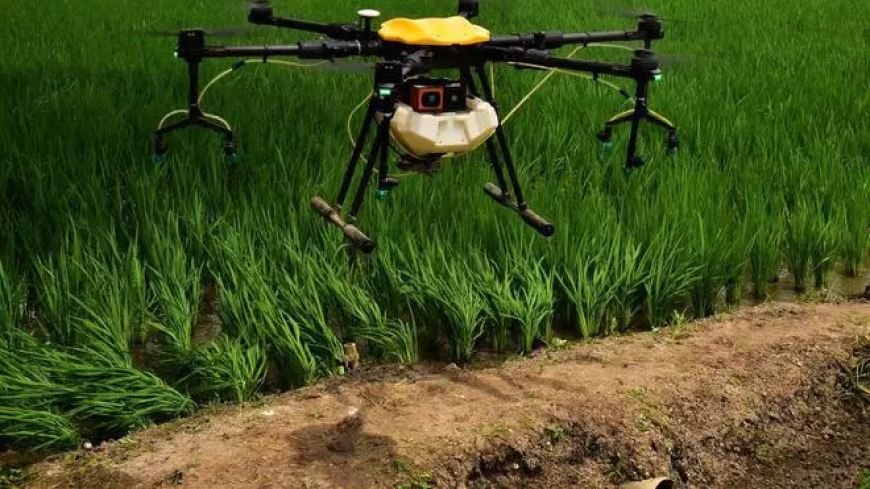 कृषि में ड्रोन के लाभ
