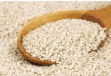 सफेद तिल खाने के फायदे छोटा दाना, सेहत का महासुपरफूड | रोज खाया तो शरीर अंदर से बदल जाएगा सफेद तिल खाने के फायदे