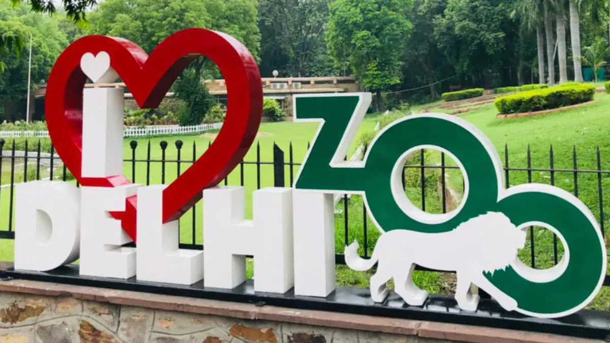 दिल्ली चिड़ियाघर में बढ़ी रौनक पटना से पहुंचे बाघ, भेड़िये और सांप, दर्शकों के लिए जल्द खुलेंगे द्वार